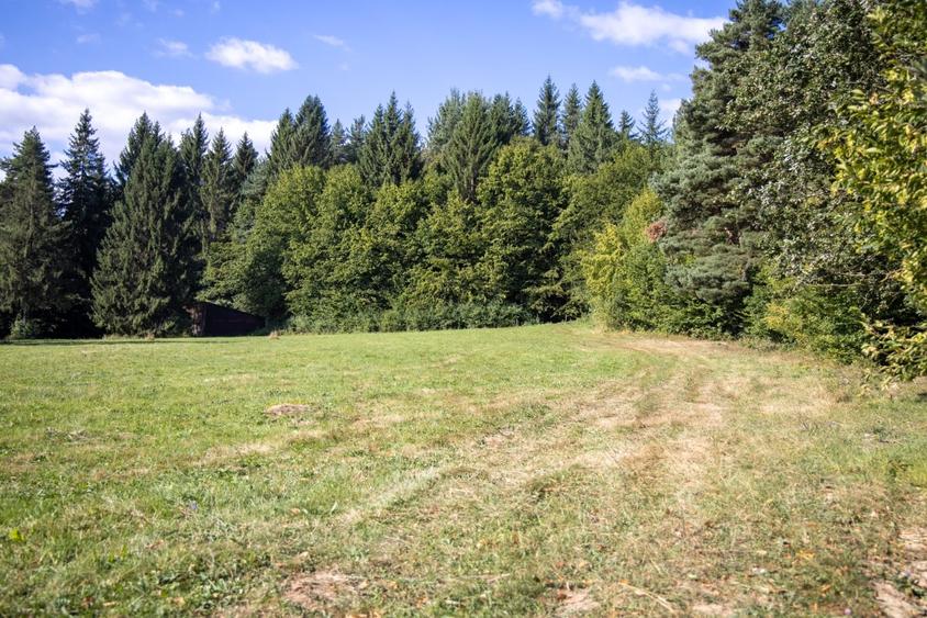 Teren Construcții intravilan de 6800 mp, în Vulcan