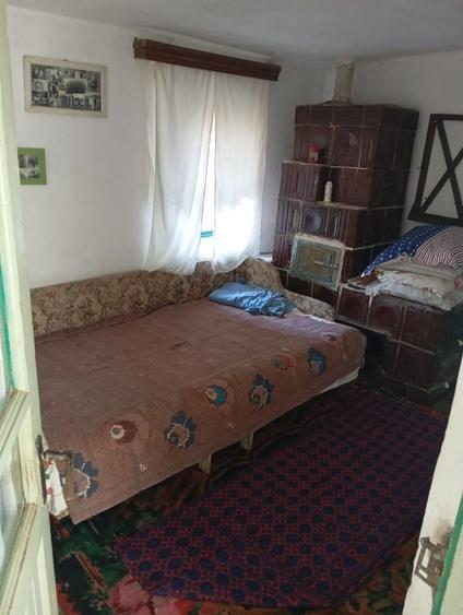 Casa Verbita+Livada de Pruni - 8