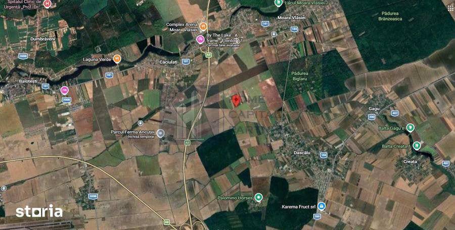 Teren de 5500 mp, în Moara Vlăsiei