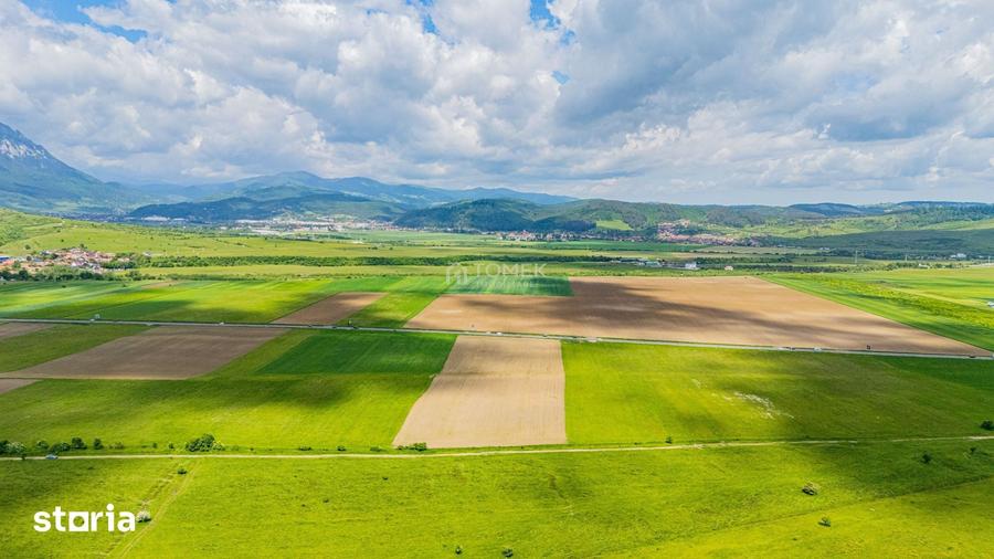 Teren de 5800 mp, în Central