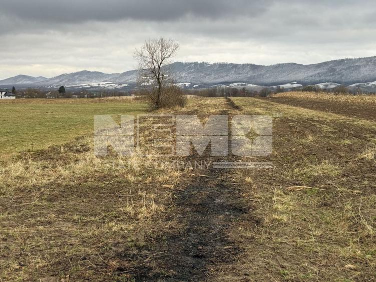 Teren agricol extravilan de 8000 mp, în Vicovu de Sus