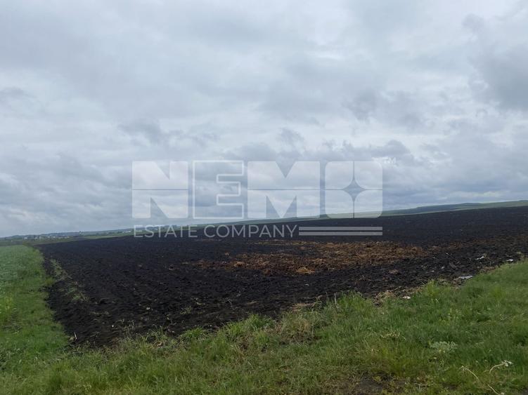 Teren agricol extravilan de 14100 mp, în Dornești