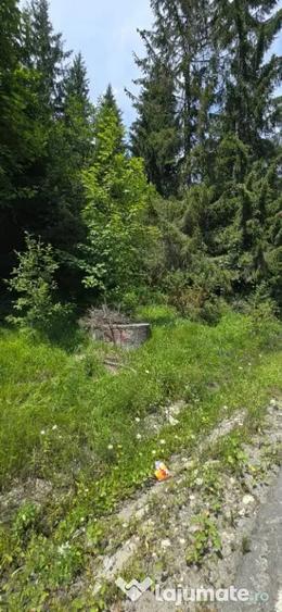 Teren în Moroeni