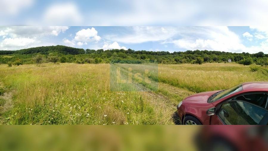 Teren de 16000 mp, în Vest
