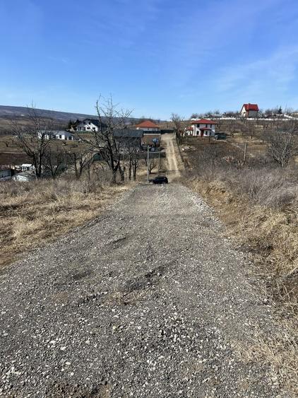 Teren de 10000 mp, în Central