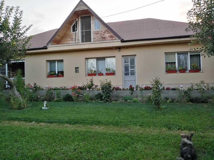 Casă cu 2 camere cu Teren 500 Mp în Limanu