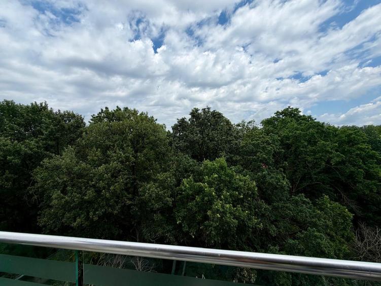 Apartament cu 3 camere, mobilat în Iancu Nicolae