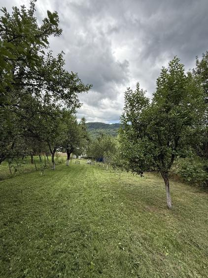 Casă cu 4 camere în Corbi