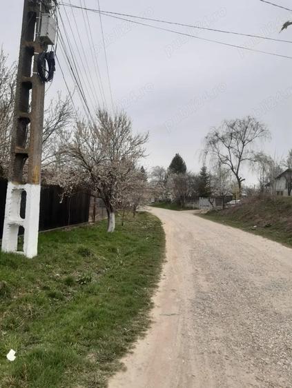 Teren în Dărmănești