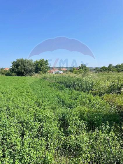 Teren de 1270 mp, în Central