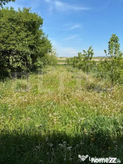 Casă cu 3 camere cu Teren 584 Mp în Central