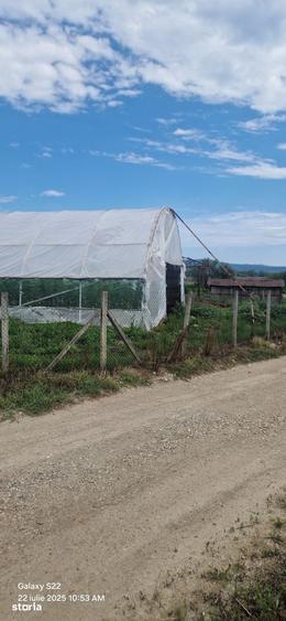 Teren de 2600 mp, în Vețel