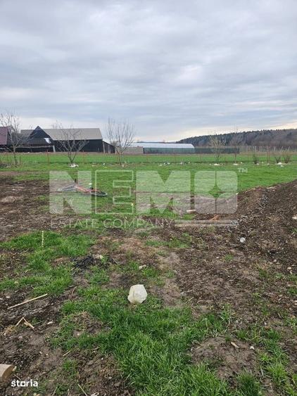 Casă cu 4 camere în Burla