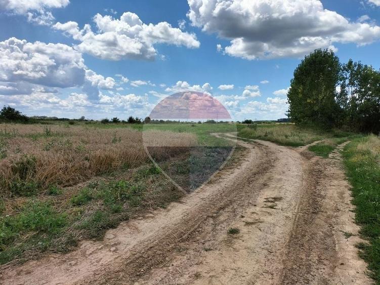 Teren agricol intravilan de 9843 mp, în Crevedia