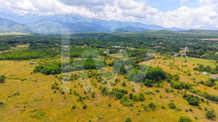 Teren extravilan de vanzare - Valea Avrigului, Sibiu - 14
