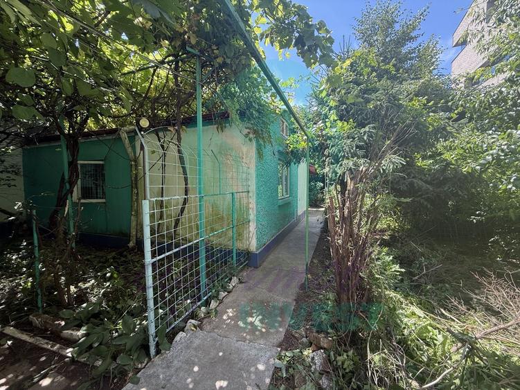Casă individuală cu 2 camere cu Canalizare în Pache Protopopescu