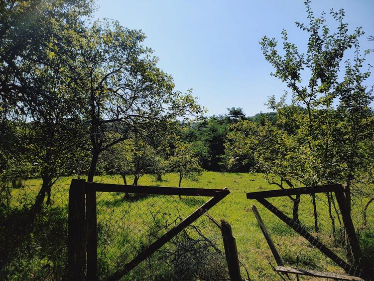 Teren de 2500 mp, în Zmeurătu