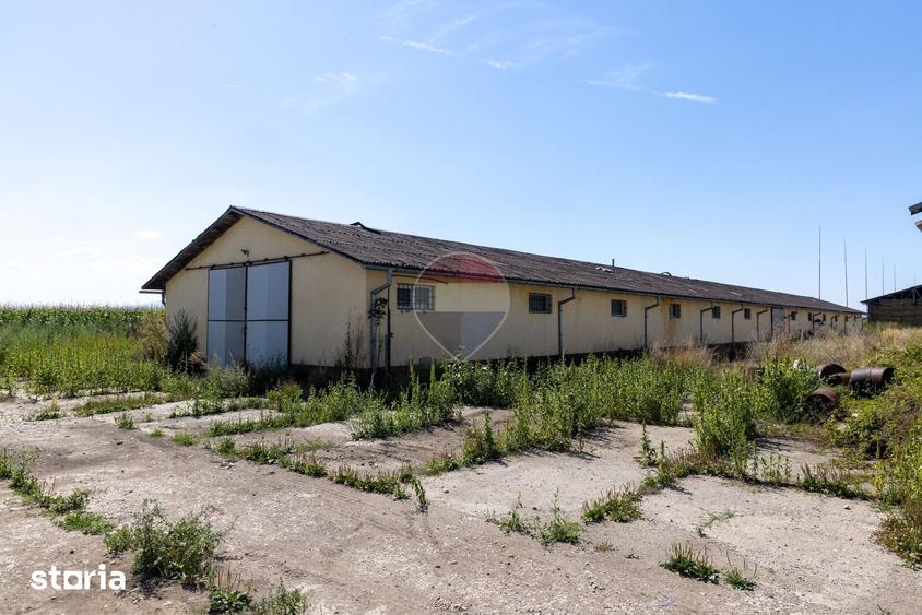 Teren de 17500 mp, în Hălchiu