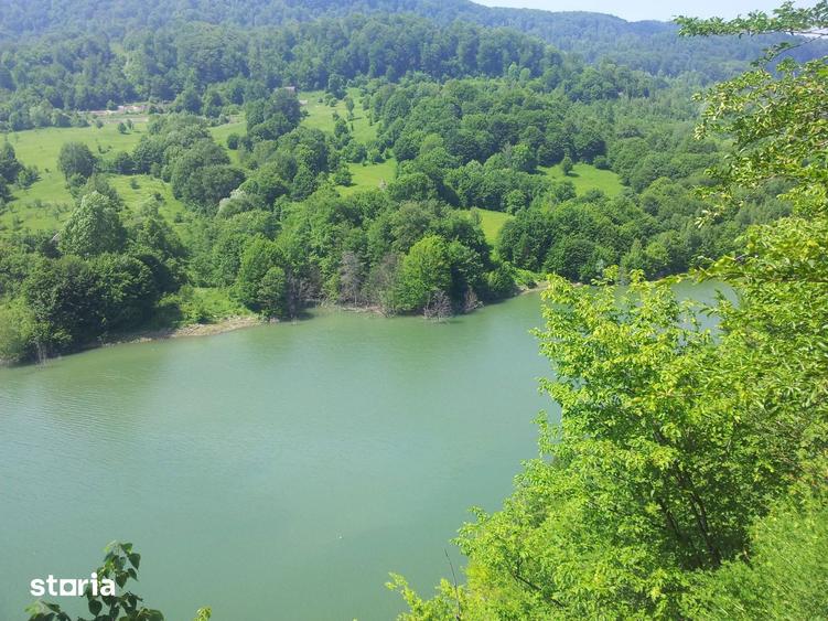 Teren de 73000 mp, în Siriu