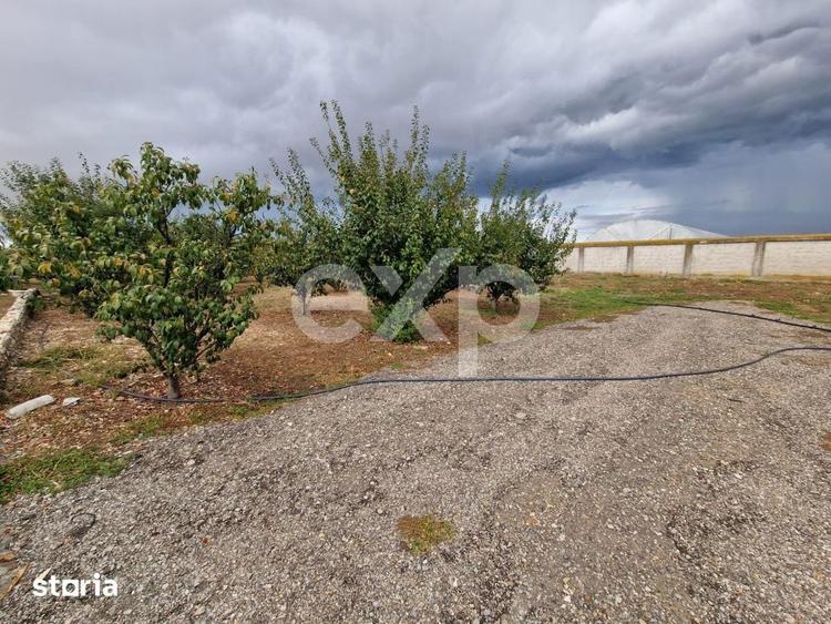 Teren de vanzare intravilan 660 mp + 1500 livada Racovita (DB) - 3