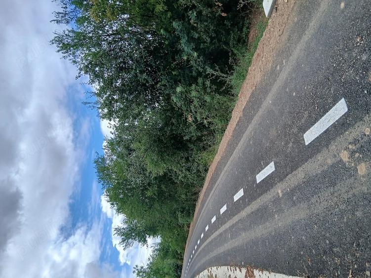 Teren de 14 mp, în Ardud