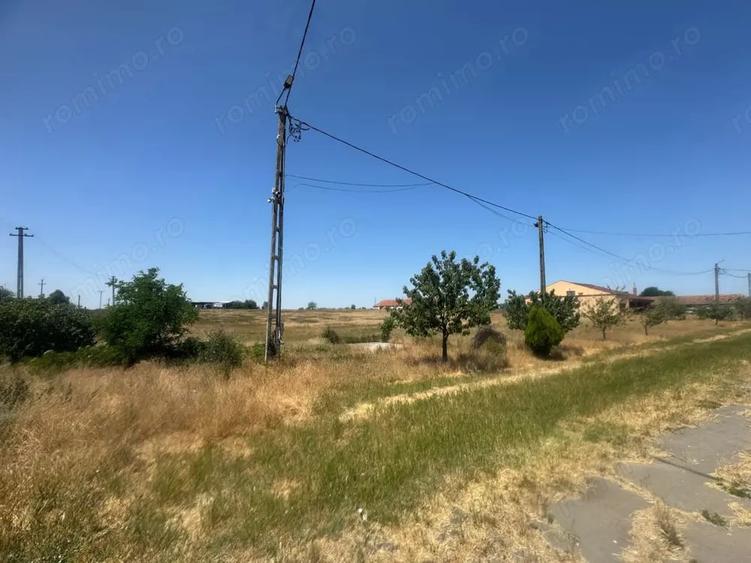 Teren de 90000 mp, în Bara