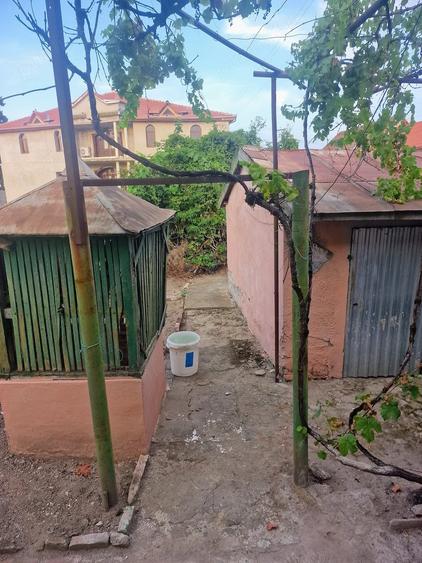 Casă cu 3 camere cu Teren 288 Mp în Deta