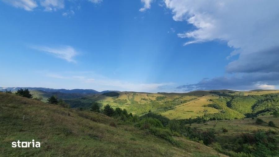 Teren de 13203 mp, în Sălciua