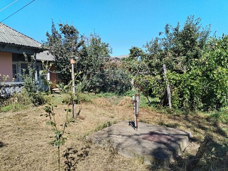 Casă individuală cu 4 camere cu Teren 3370 Mp în Central