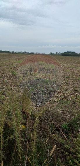 Teren agricol extravilan de 3000 mp, în Sântion