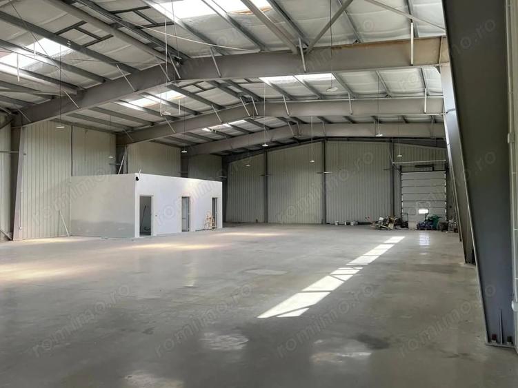 Spa?iu 600 mp Depozitare / Logistica Otopeni, proximitate ?oseaua de Centura - 10