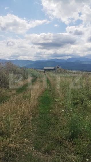 Teren agricol extravilan de 10000 mp, în Cristian