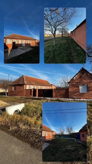 Casă cu 3 camere cu Teren 3000 Mp în Alioș