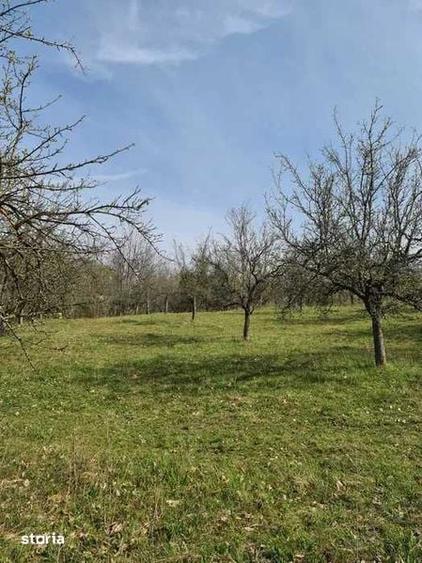 Teren de 10000 mp, în Ștefan cel Mare