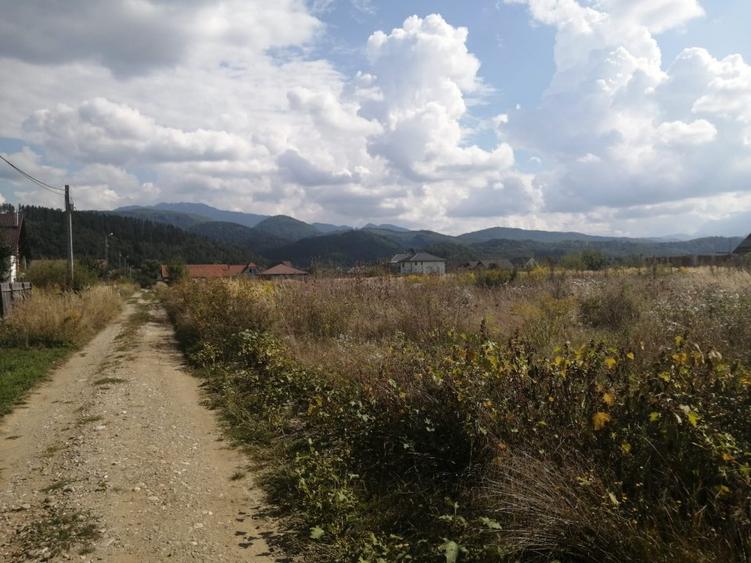 Teren Construcții intravilan de 1000 mp, în Cristian