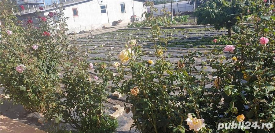 Casă cu 5 camere cu Teren 6000 Mp în Topraisar