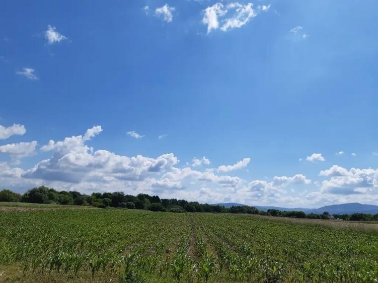 Teren de 20300 mp, în Ilieni