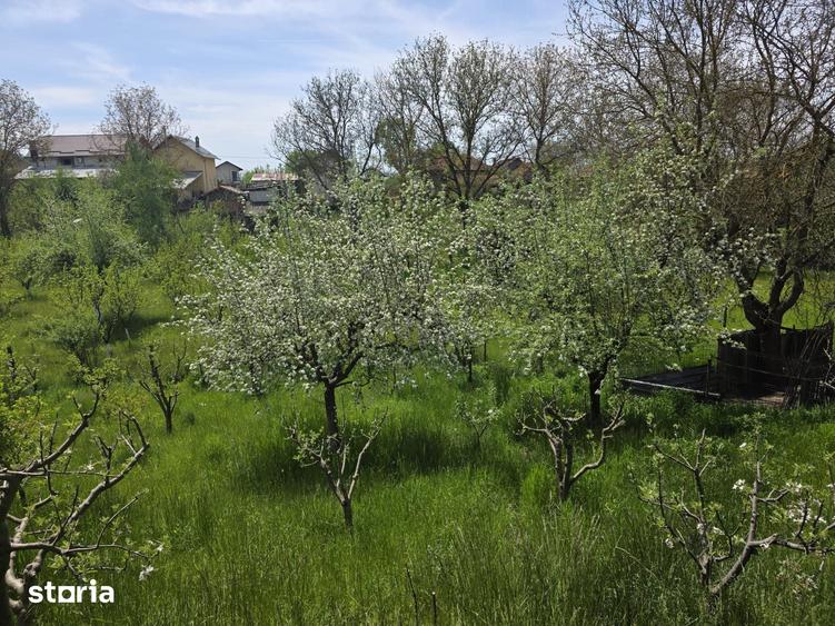 Casă cu 3 camere cu Teren 1079 Mp în Stâlpeni