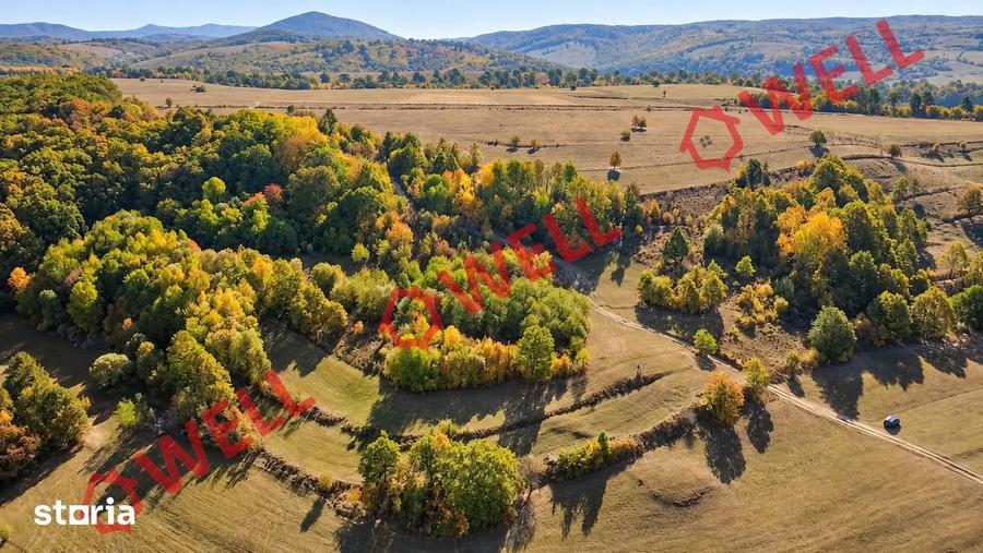 Teren de 4500 mp, în Bățani