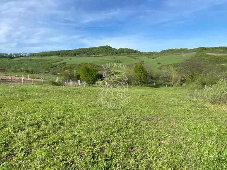 Teren agricol extravilan de 2160 mp, în Jelna