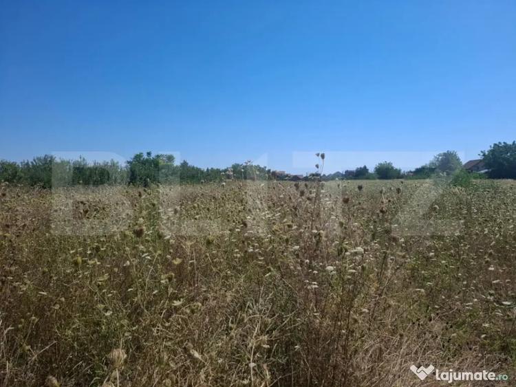 Teren în Dumbrava