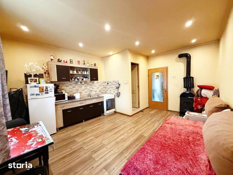 Apartament 1 camera la curte Iuliu Maniu - 1