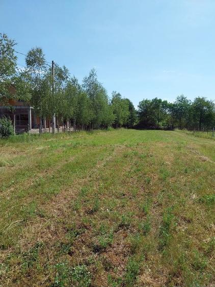 Teren Construcții intravilan de 12500 mp, în Drajna de Sus