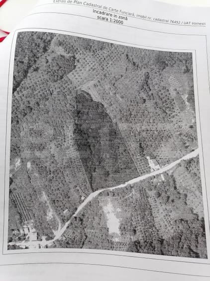 Teren agricol intravilan de 14400 mp, în Gemenea-Brătulești