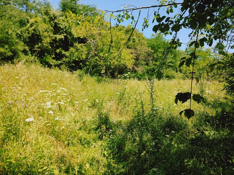 Teren de 2500 mp, în Zmeurătu