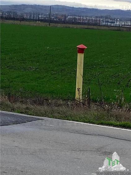 Teren agricol extravilan de 60600 mp, în Berceni