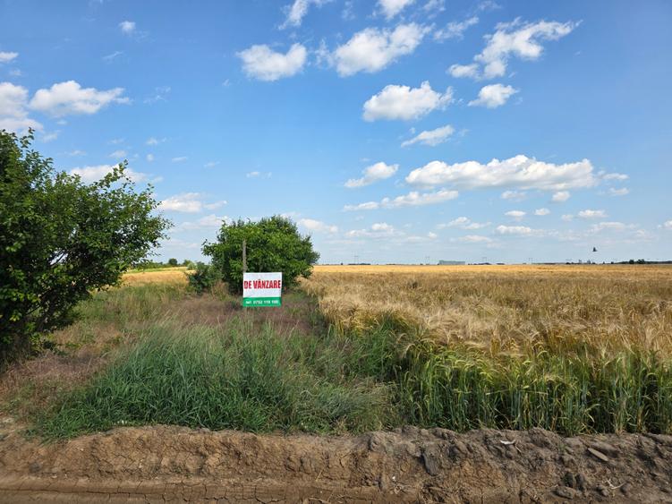 Teren Construcții intravilan de 12651 mp, în Sud