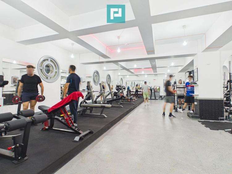 Casă individuală cu 13 camere cu Teren 4850 Mp în Pârneava