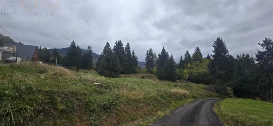Teren de 4149 mp, în Colibița