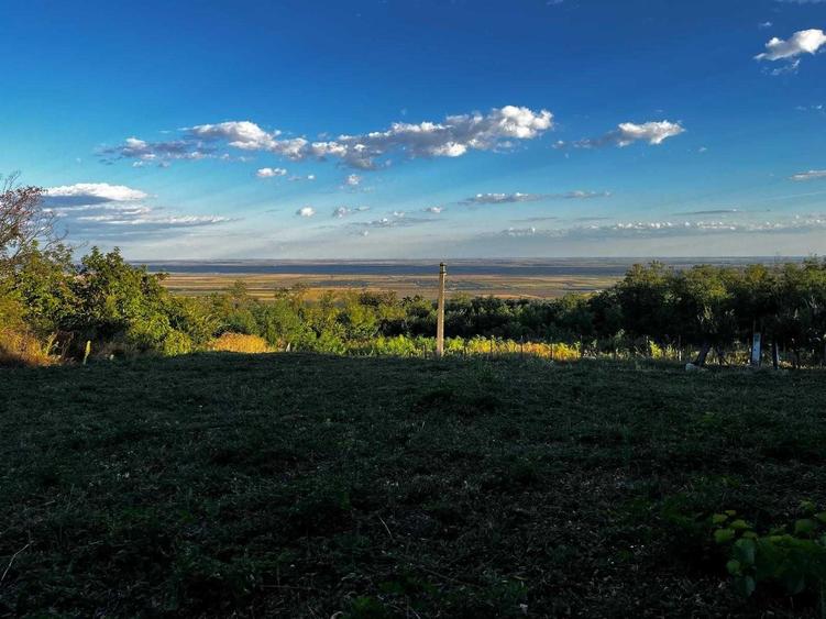 Teren de 7593 mp, în Pietroasele